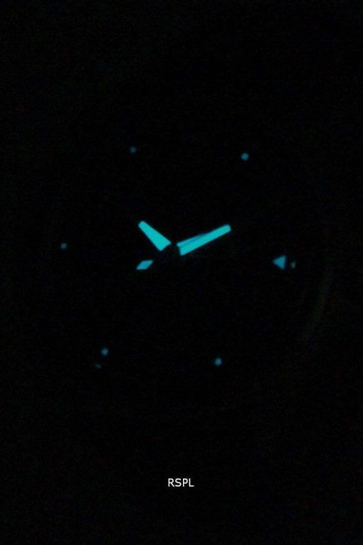 Citizen Eco-Drive AW1060-08E Mens Watch