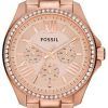 Fossil Cecile Multifunction Crystal Rose Gold-Tone AM4483 Womens Watch