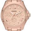 Fossil Cecile Multifunction Rose Gold-Tone AM4511 Womens Watch