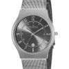 Skagen Gunmetal Grey Dial Titanium Case Mesh Bracelet 233XLTTM Mens Watch