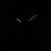 Swatch Originals Dragon Fruit Swiss Quartz GP128 Unisex Watch