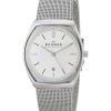 Skagen Asta Mesh Bracelet Crystallized SKW2049 Womens Watch