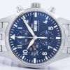 IWC 파일럿의 