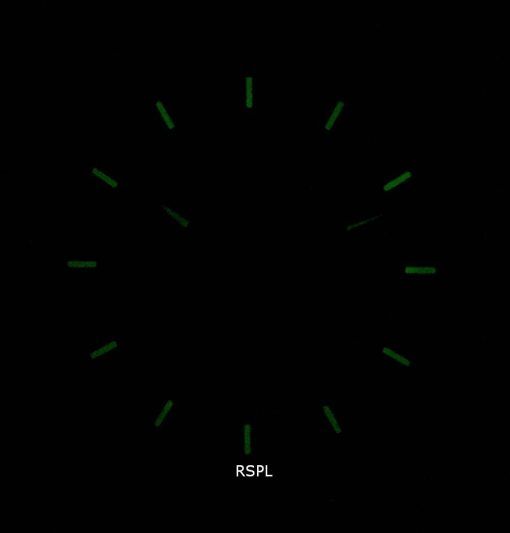 인빅타 S1 랠리 29994 쿼츠 크로노 그래프 남성용 시계