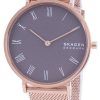 Skagen Hald SKW2813 쿼츠 여성용 시계