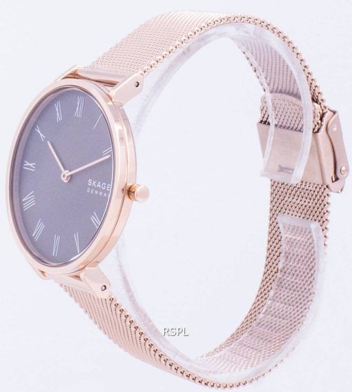 Skagen Hald SKW2813 쿼츠 여성용 시계